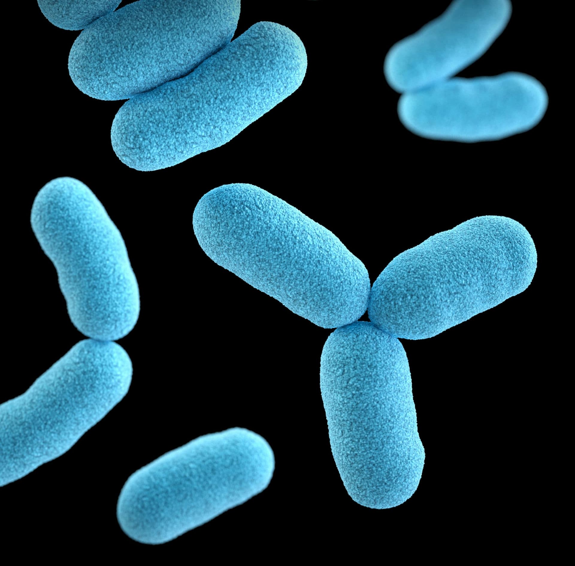 micro bactéries fosses toutes eaux